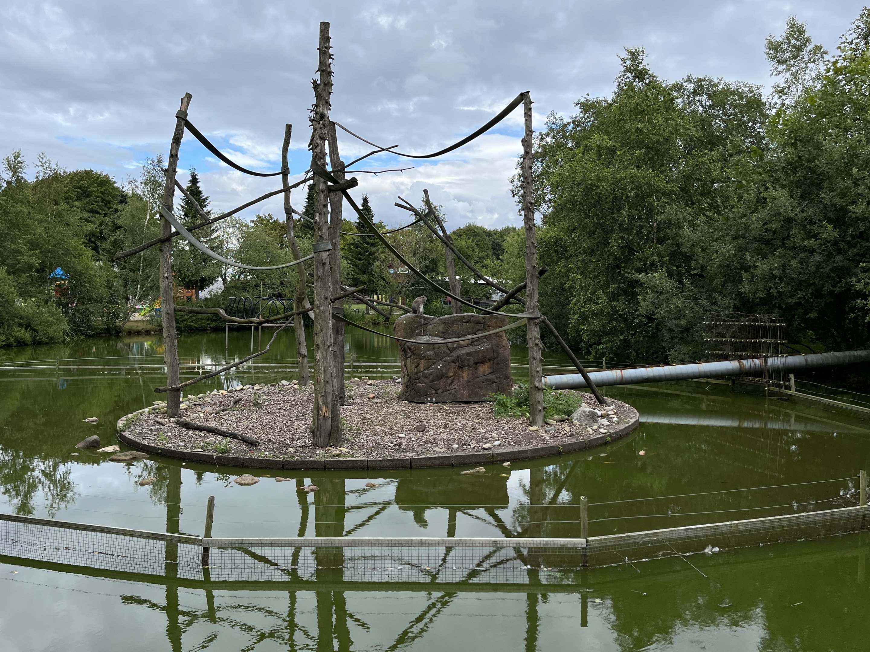 Javan Macaque Exhibit