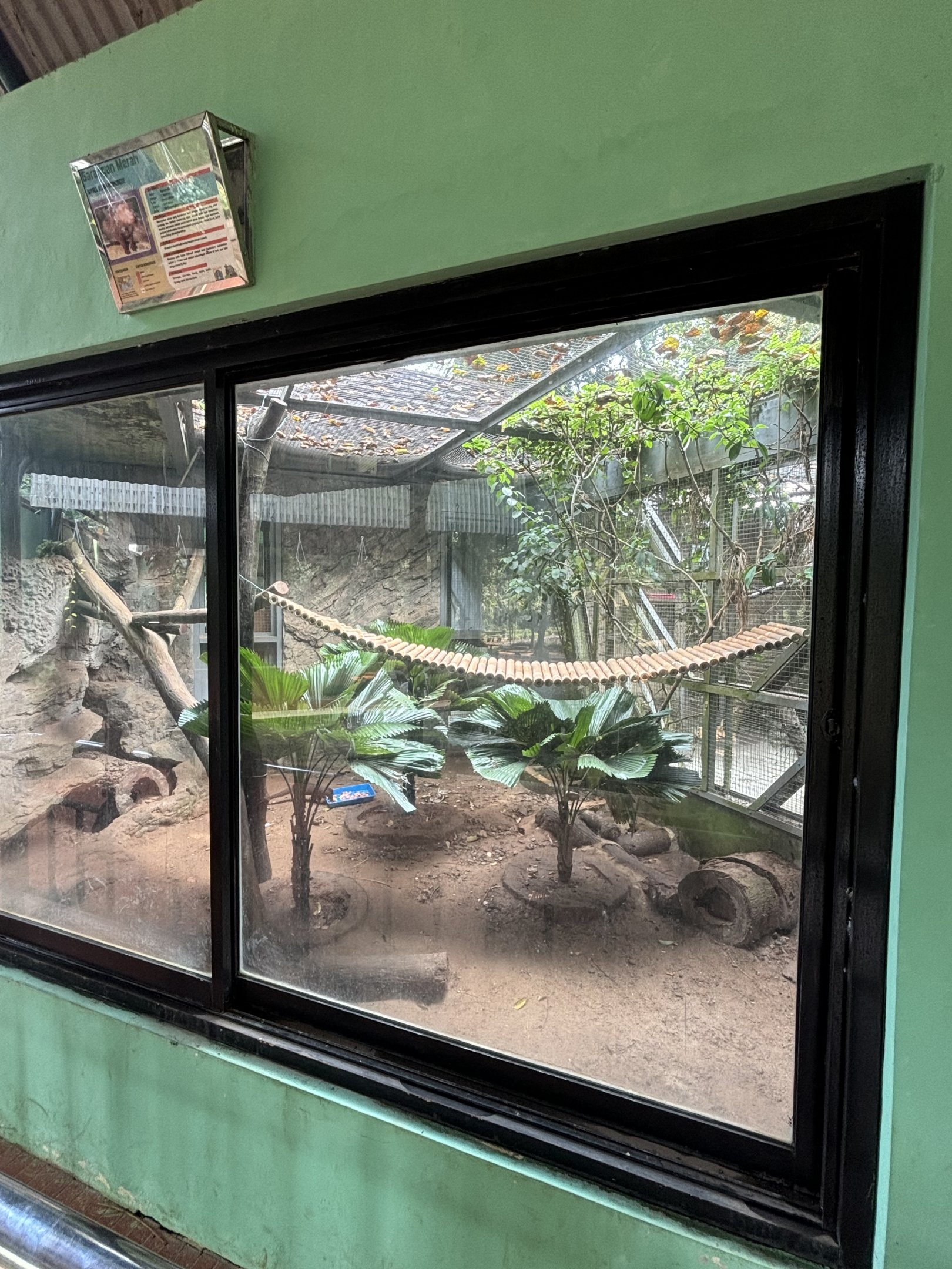 Javan Mongoose Exhibit