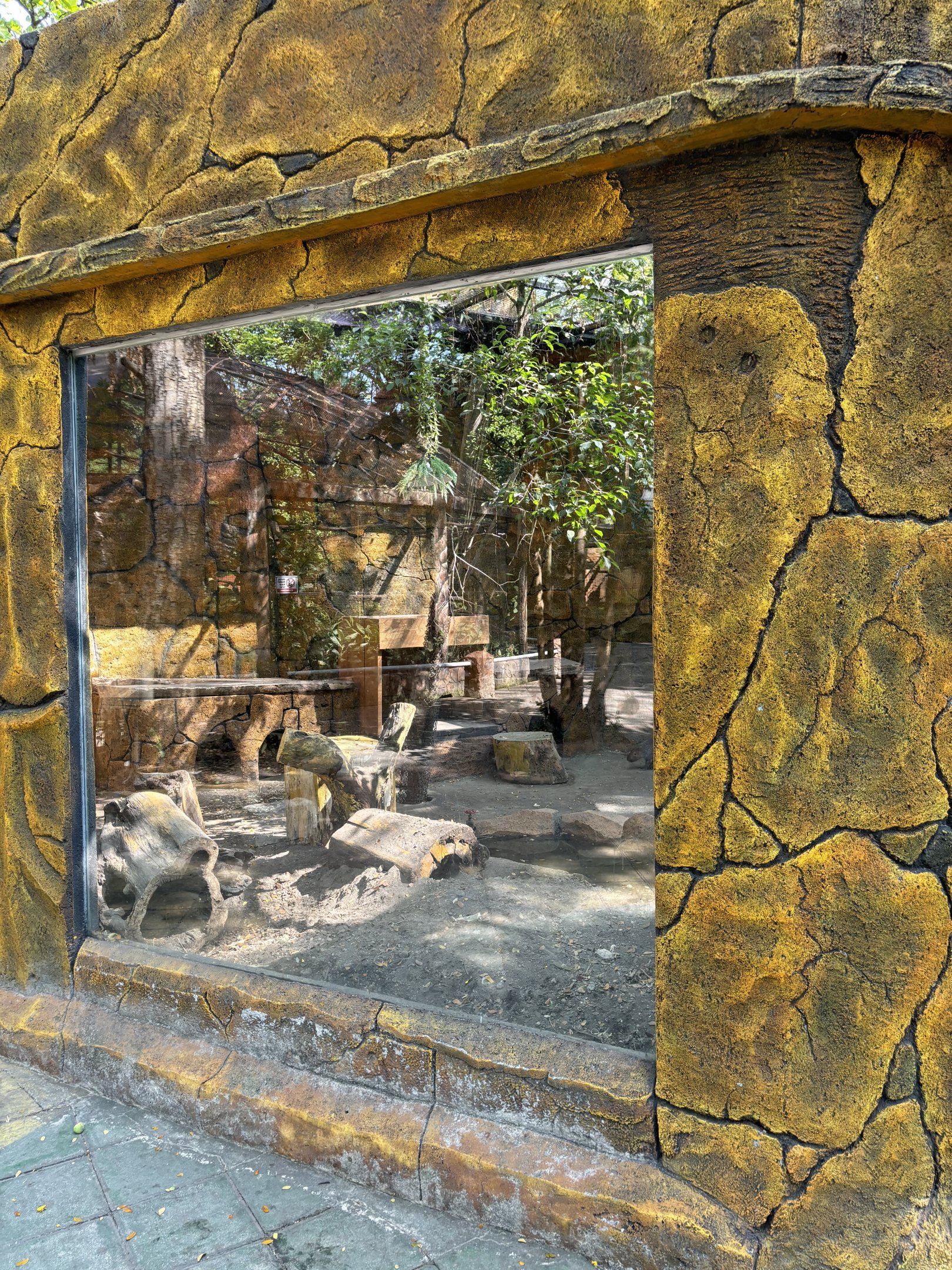 Javan Porcupine Exhibit #2