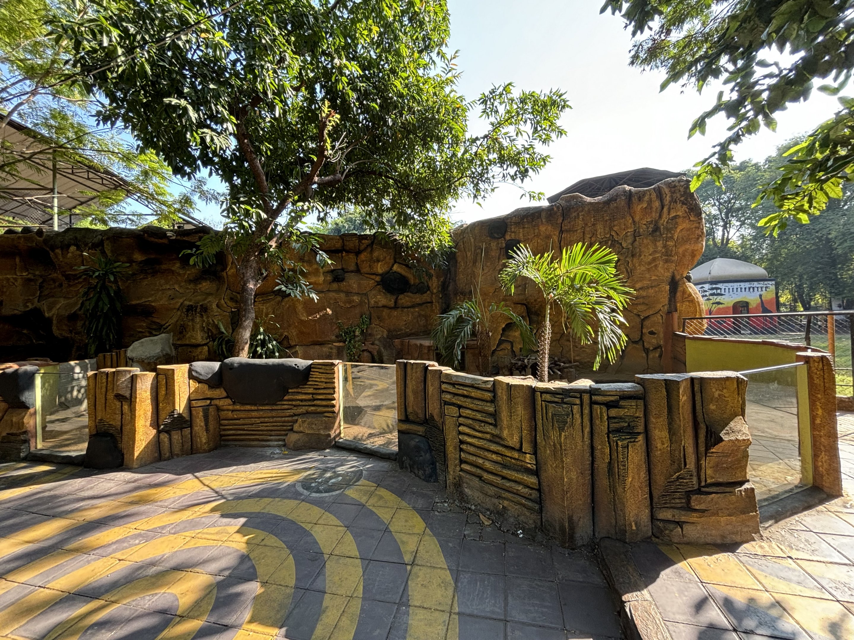 Javan Porcupine Exhibit