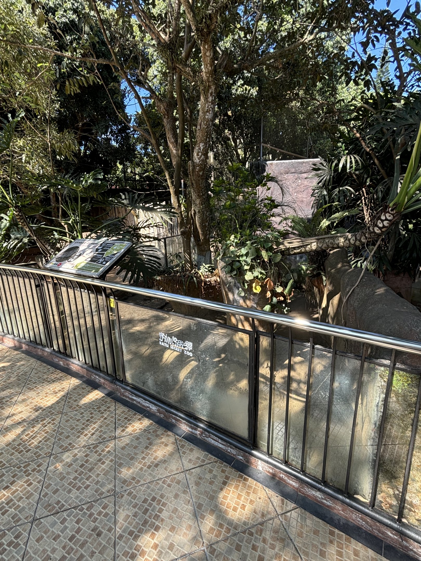 Javan Porcupine Exhibit