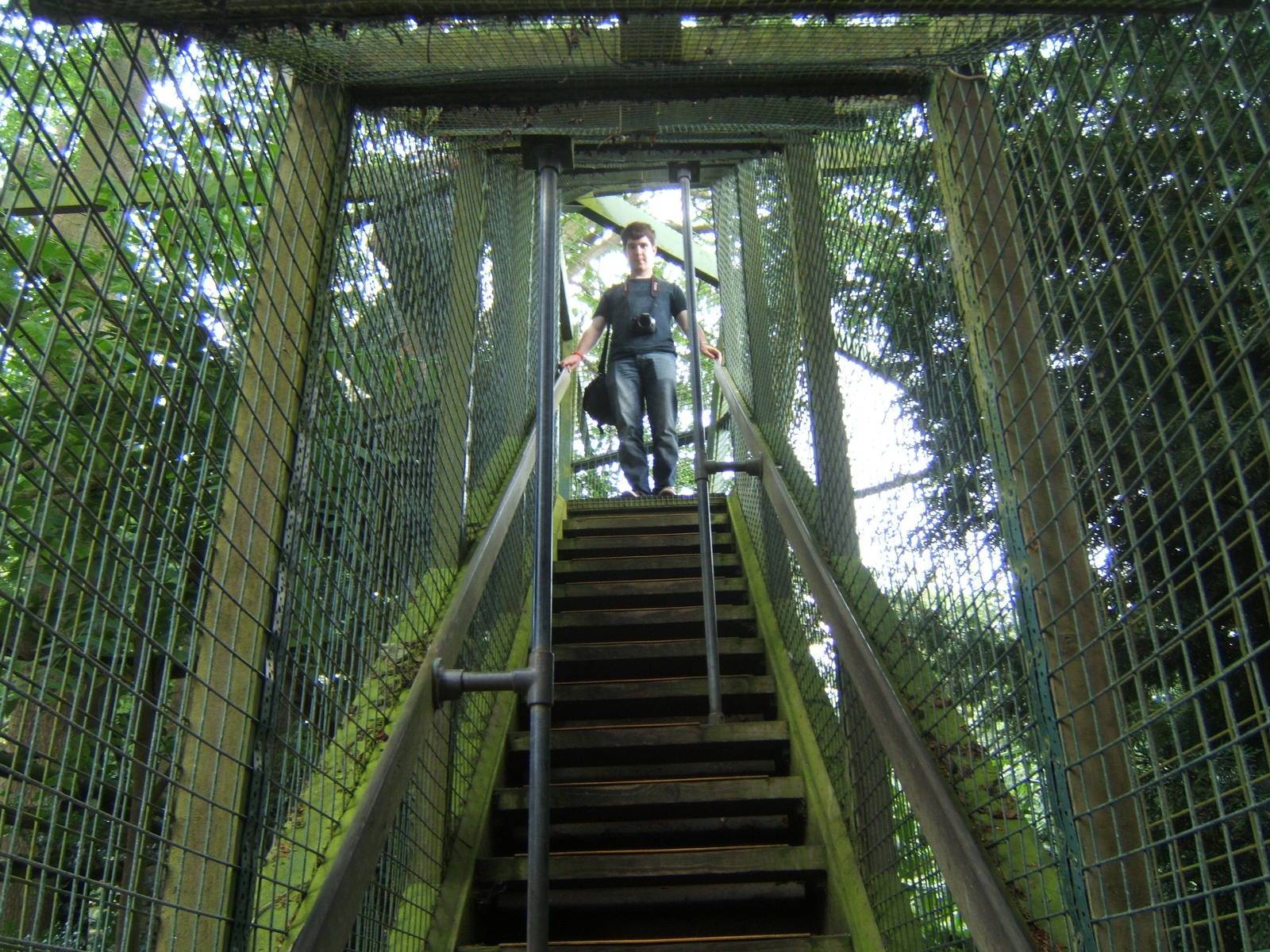 Javan Rhino escaping the Amur Leopard viewing