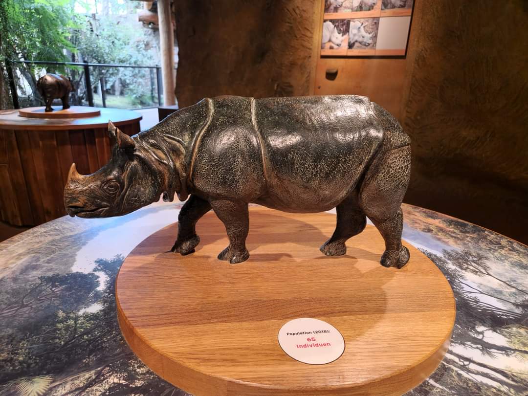 Javan Rhino figure