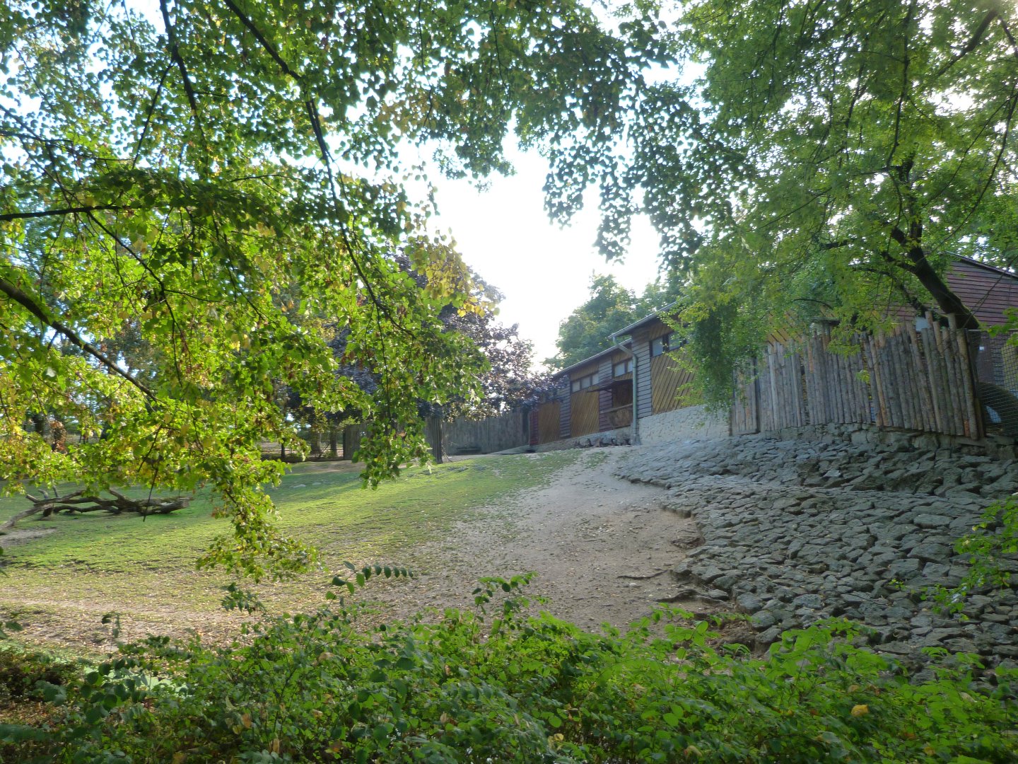 Javan rusa and Chinese muntjac exhibit -Zoo Praha (2025)