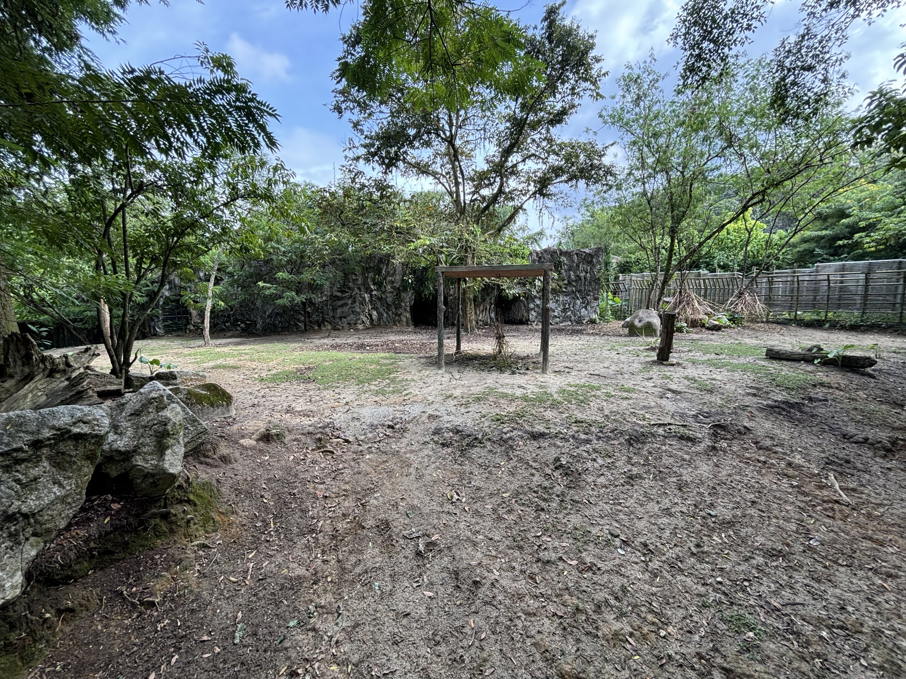 Javan Rusa Deer Exhibit #1