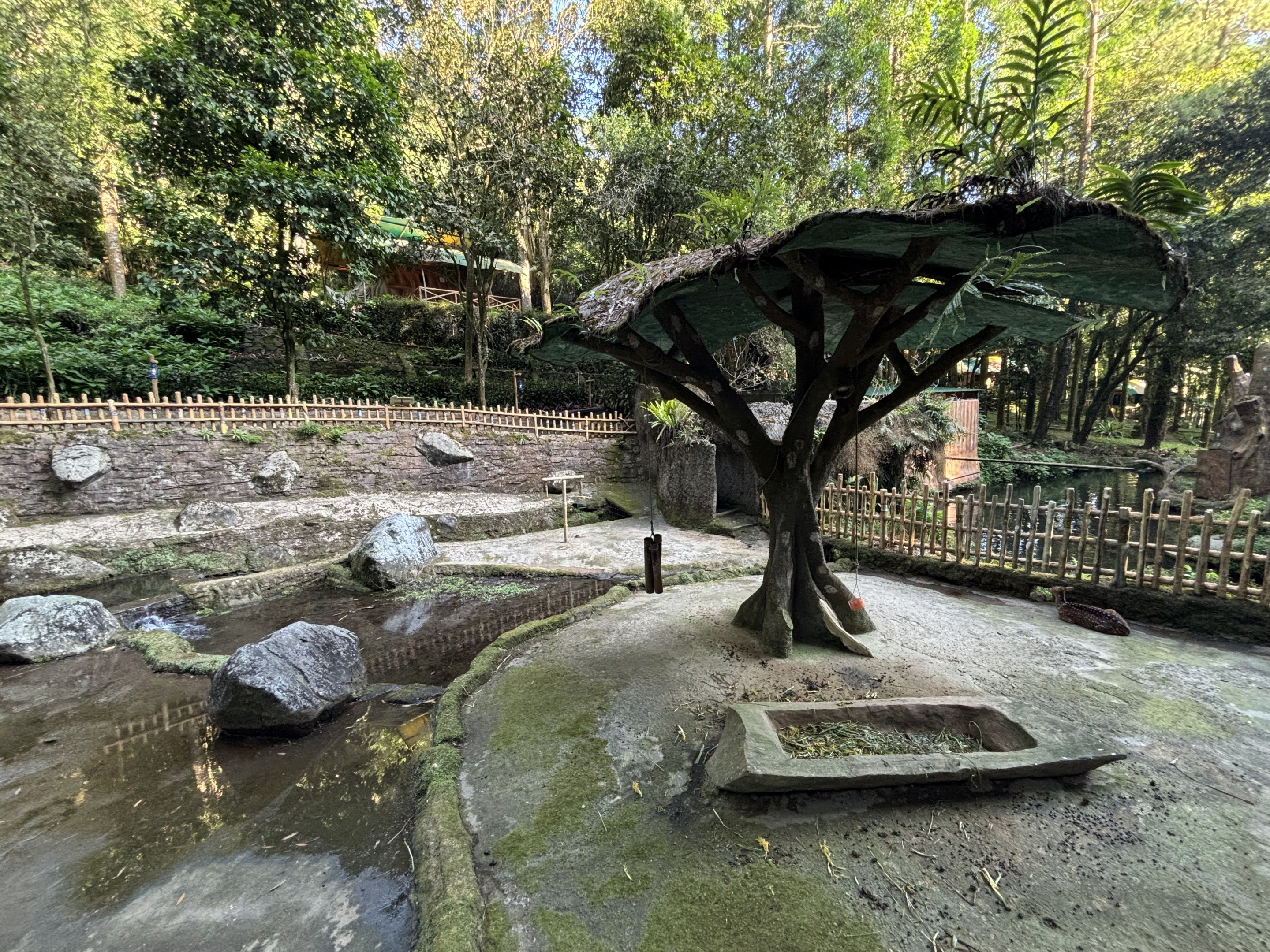 Javan Rusa Deer Exhibit