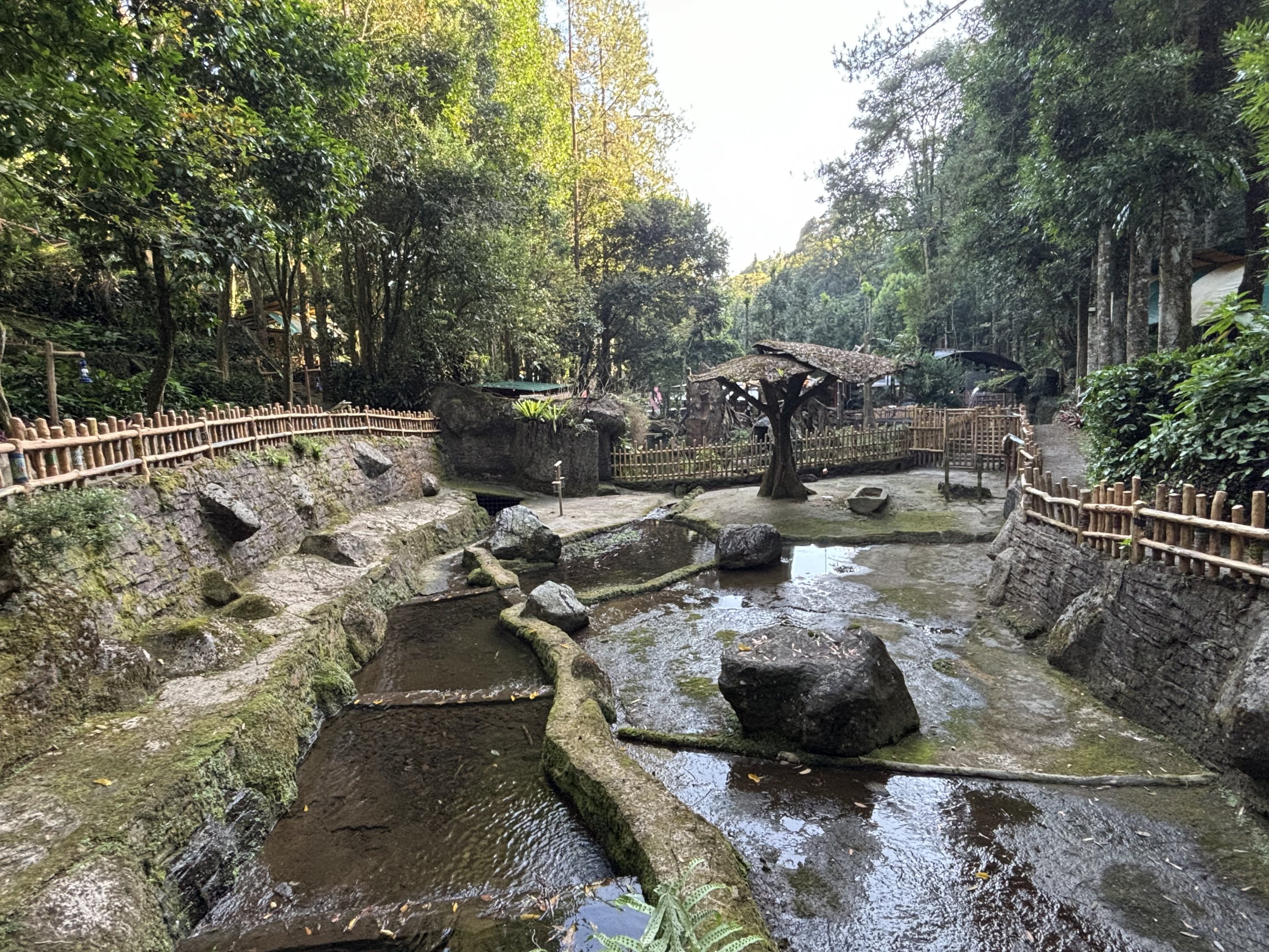Javan Rusa Deer Exhibit