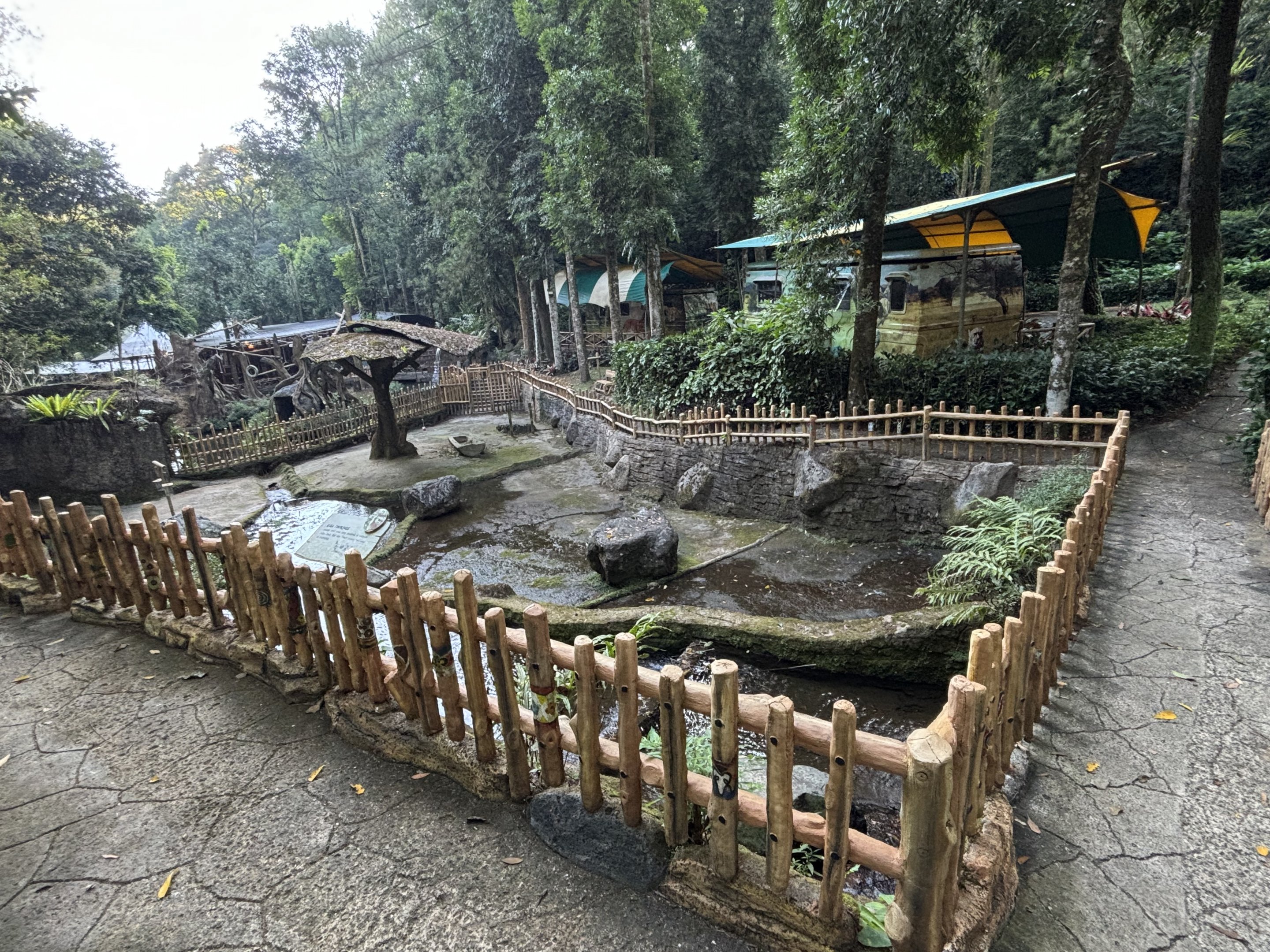 Javan Rusa Deer Exhibit