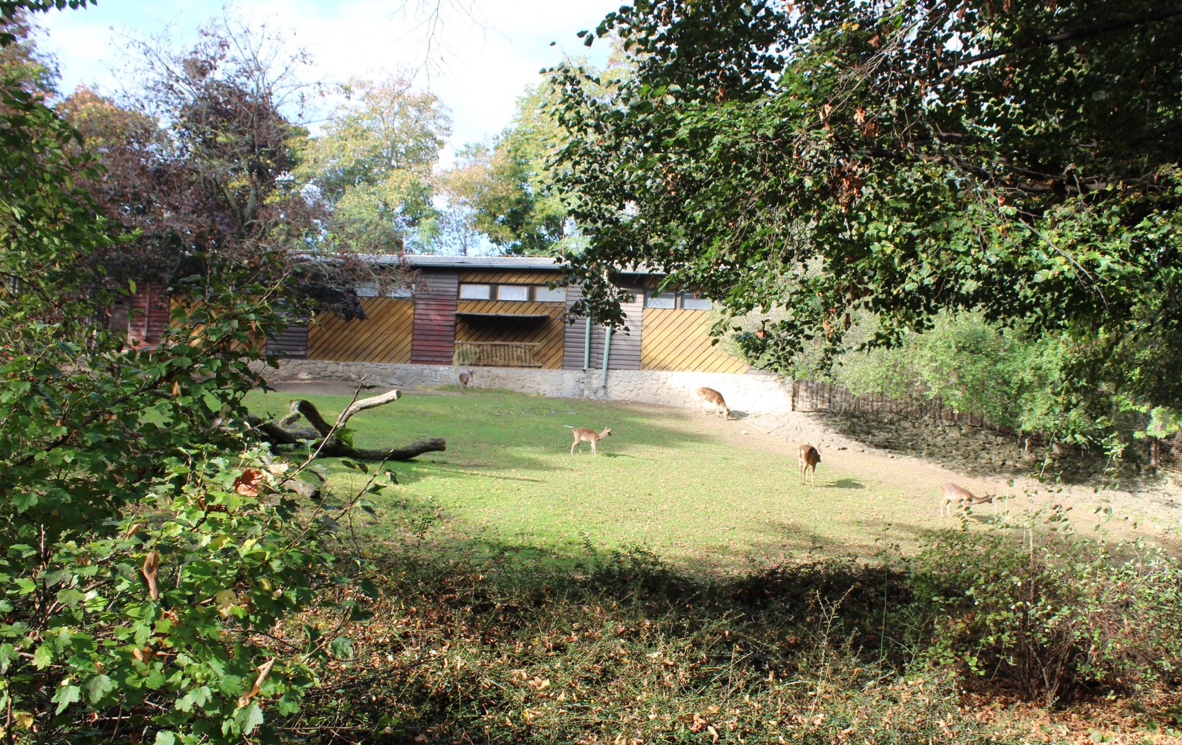 Javan rusa enclosure