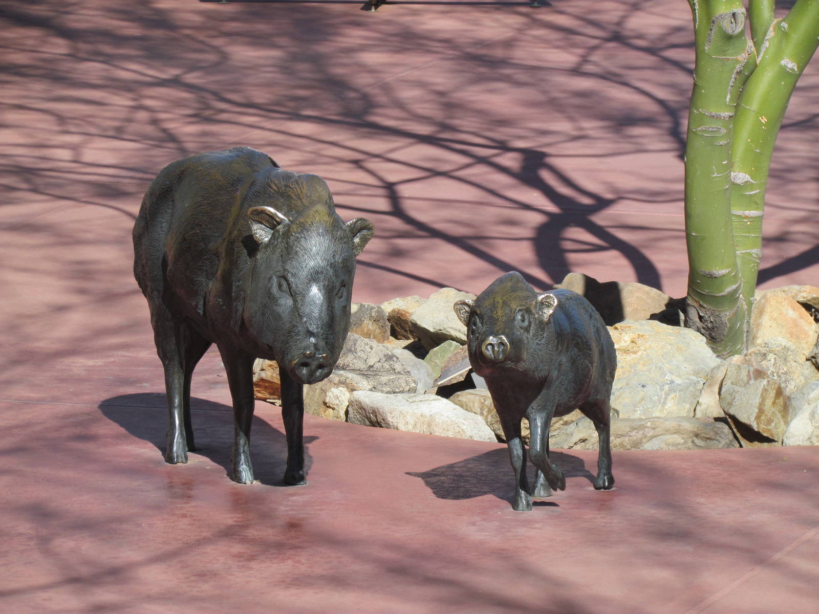 Javelina Statues at Entrance