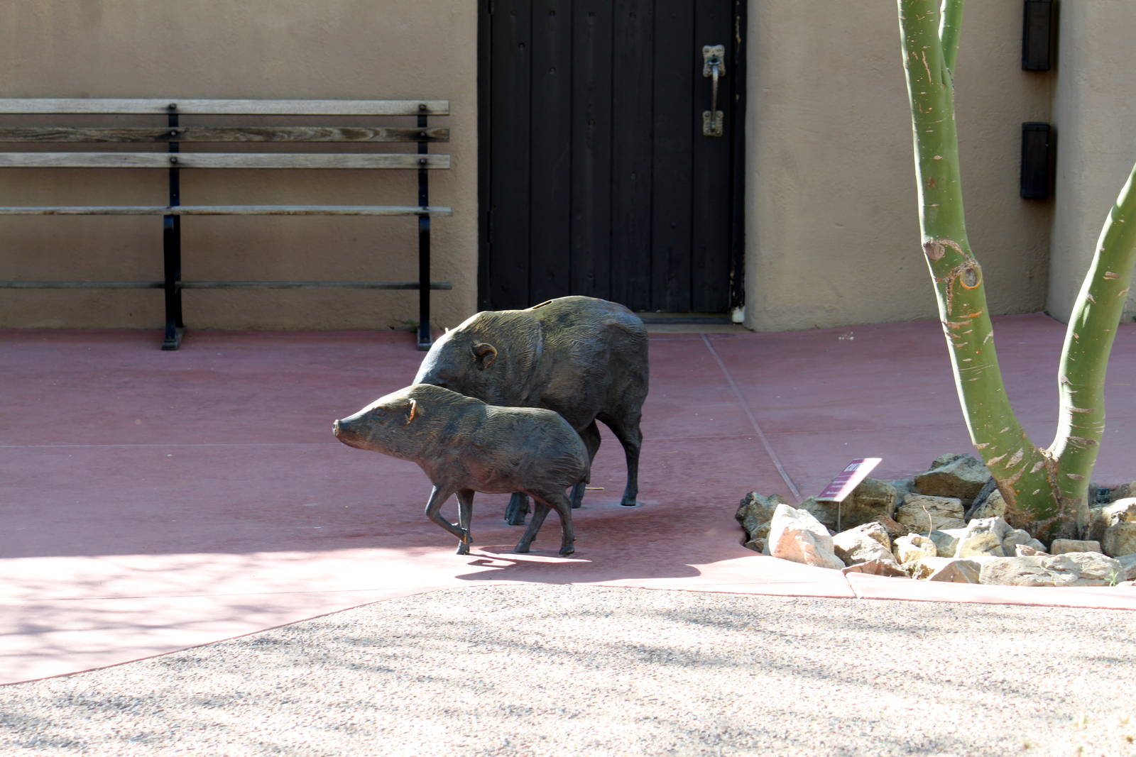 Javelina Statues at Entrance