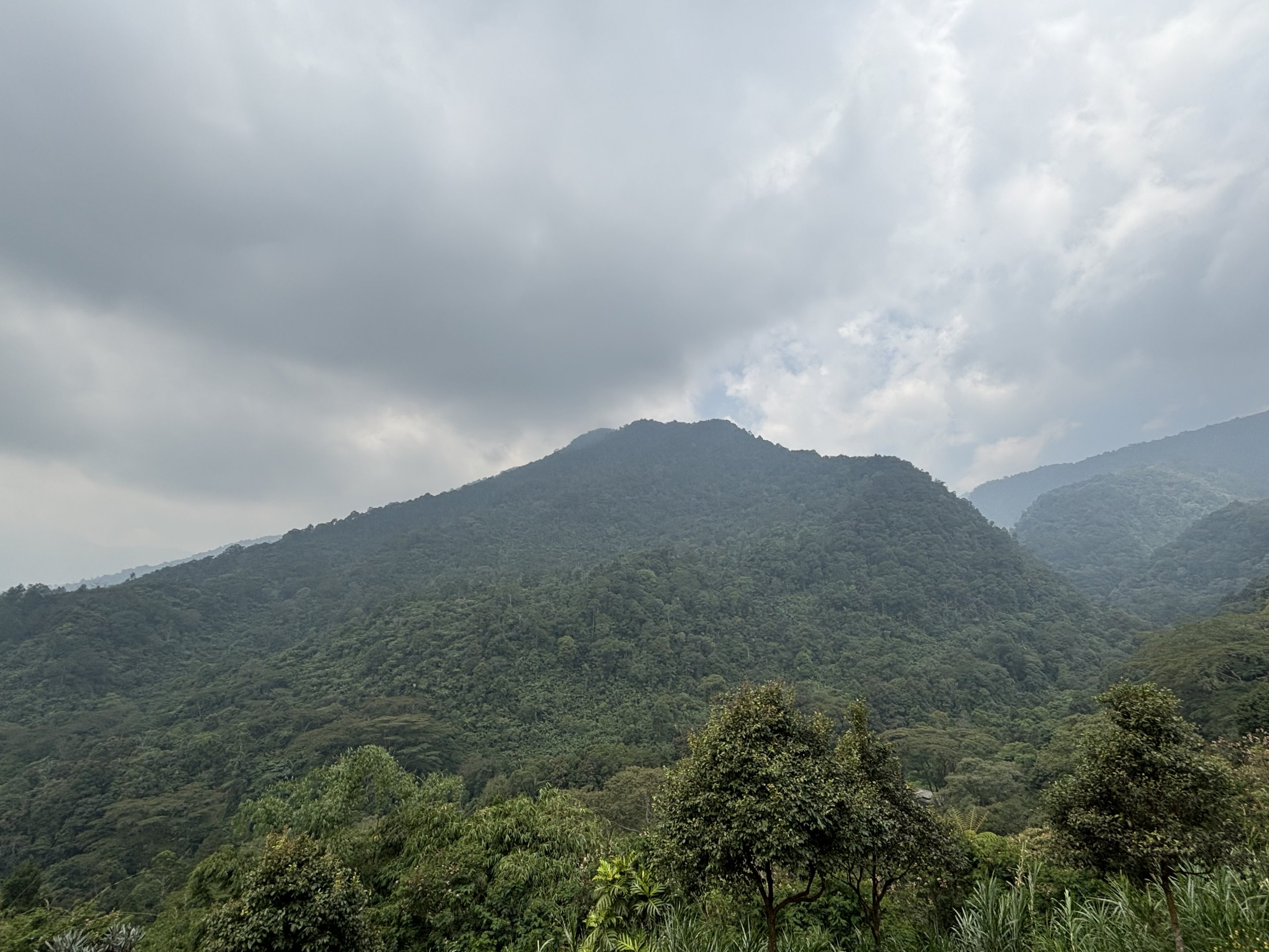 Jaw-dropping Mountains - Giant Panda Complex