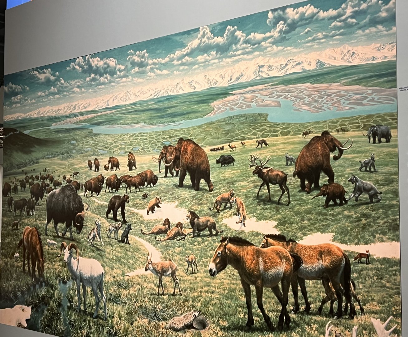 Jay Matternes masterpiece