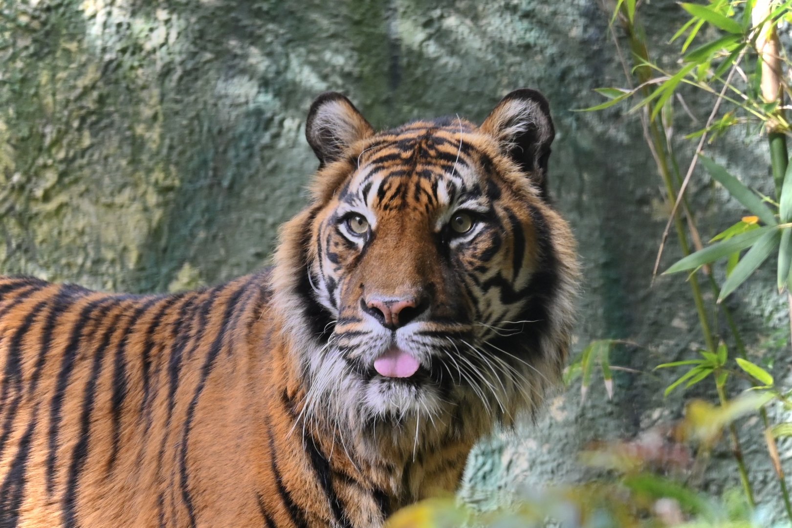 Jaya's final photo 9/10/25