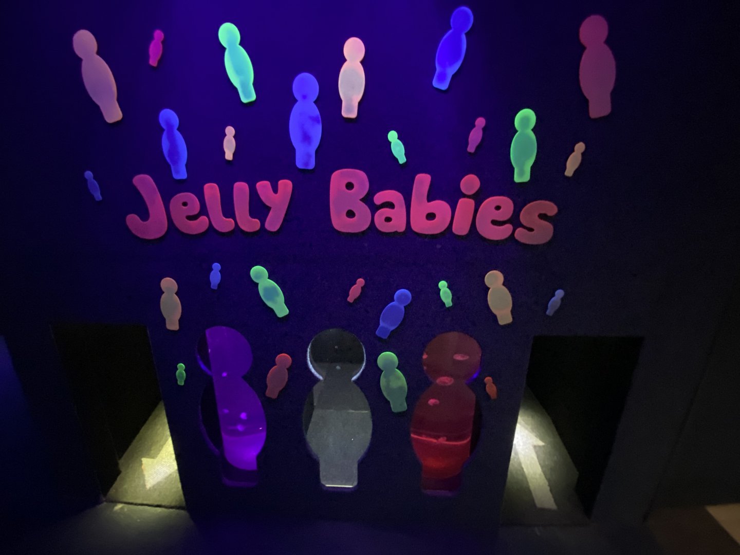 Jellyfish aquarium