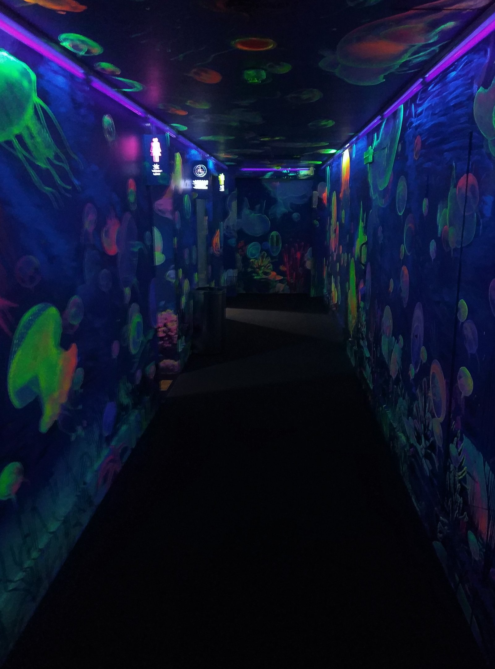 Jellyfish Corridor