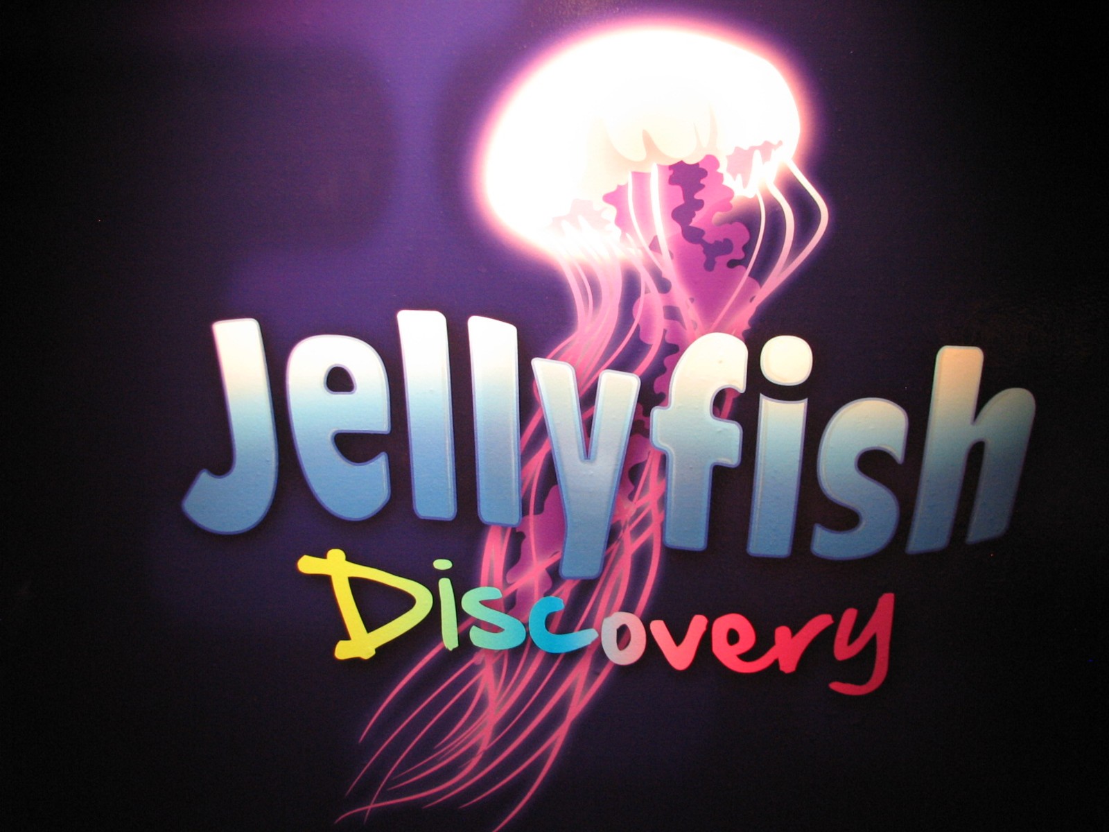 Jellyfish Discovery - Sign