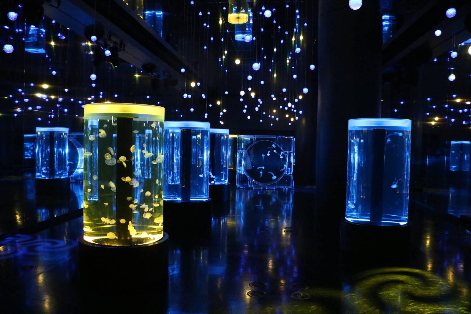 Jellyfish display - EPSON Aqua Park, February 2016