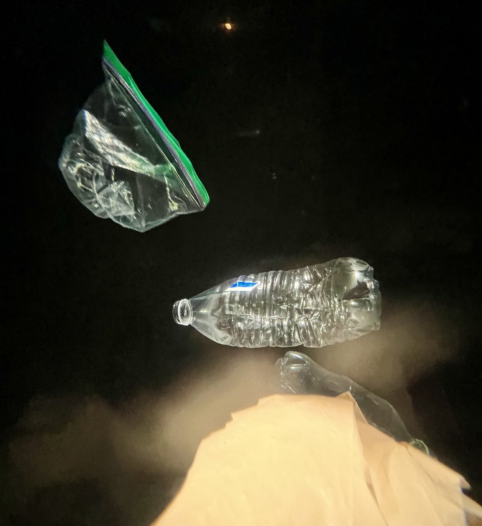 “Jellyfish” Exhibit