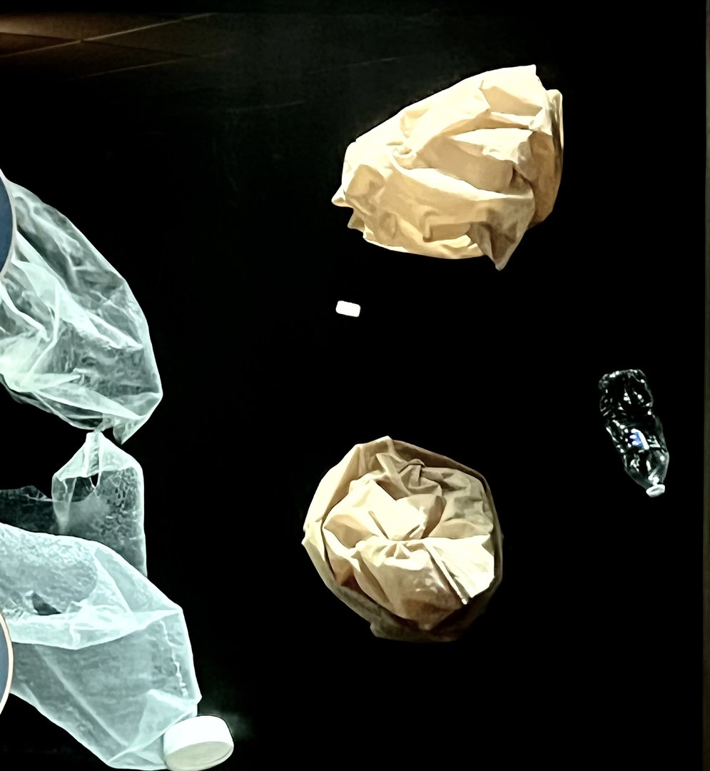 “Jellyfish” Exhibit