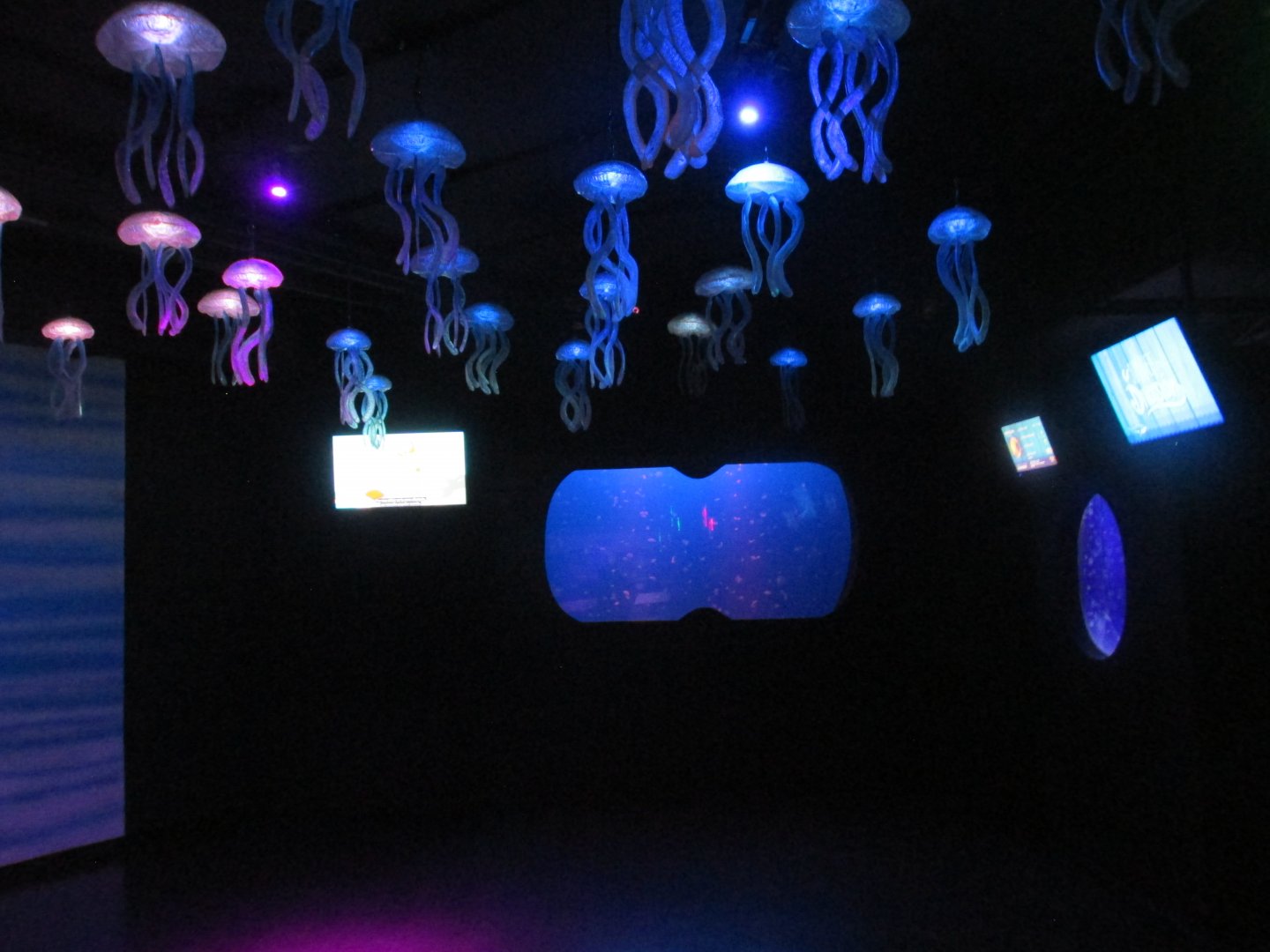 jellyfish hall