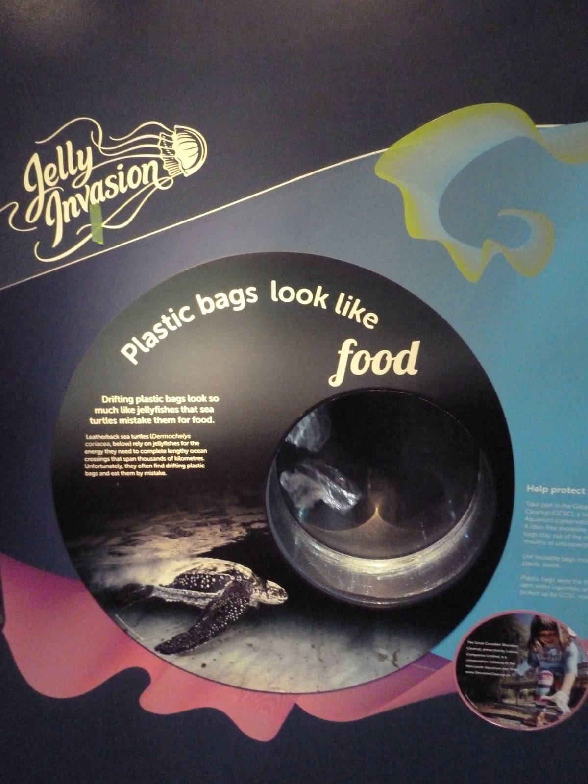 Jellyfish Invasion - Plastic Bag Exhibit