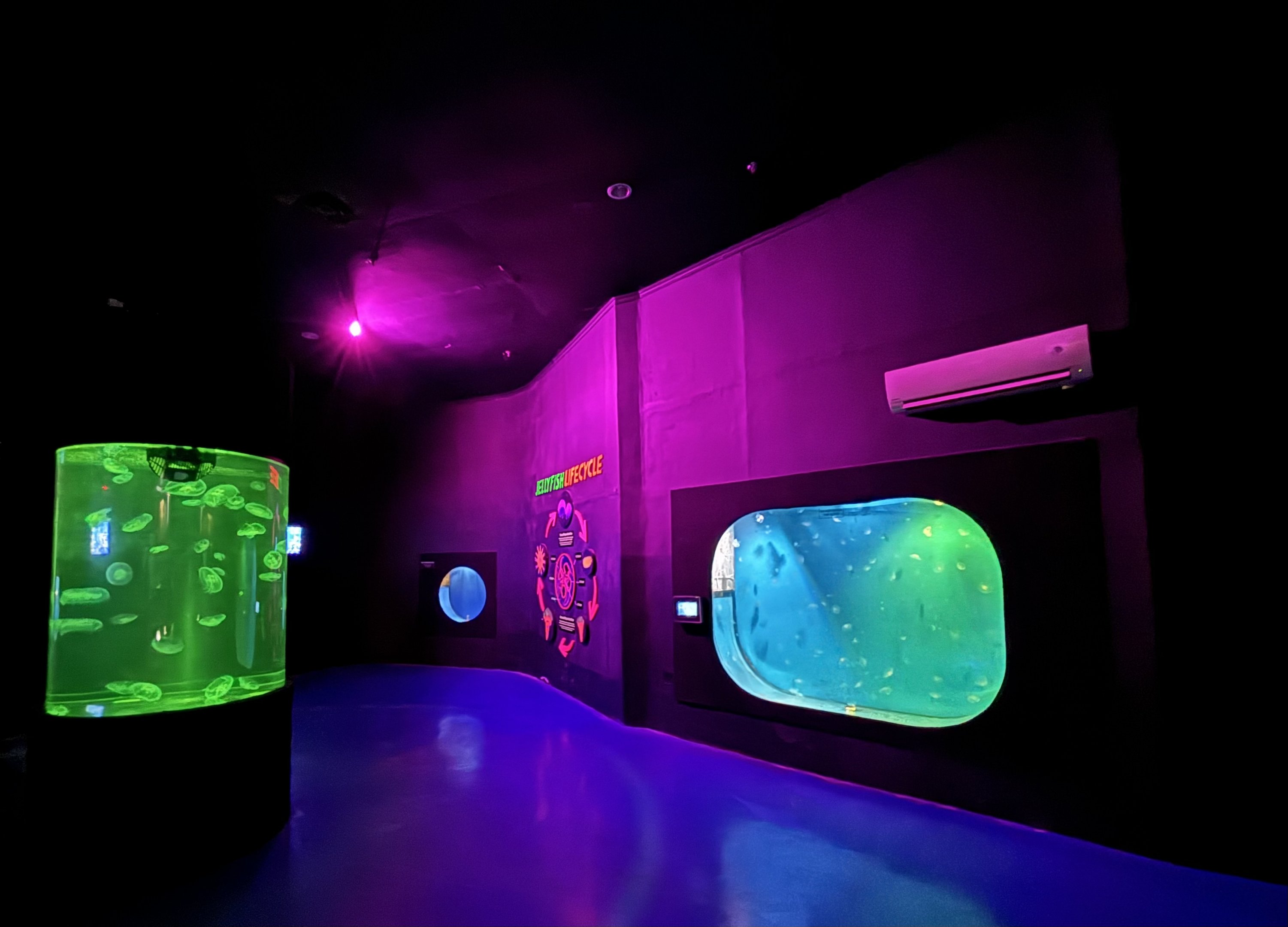 Jellyfish Room
