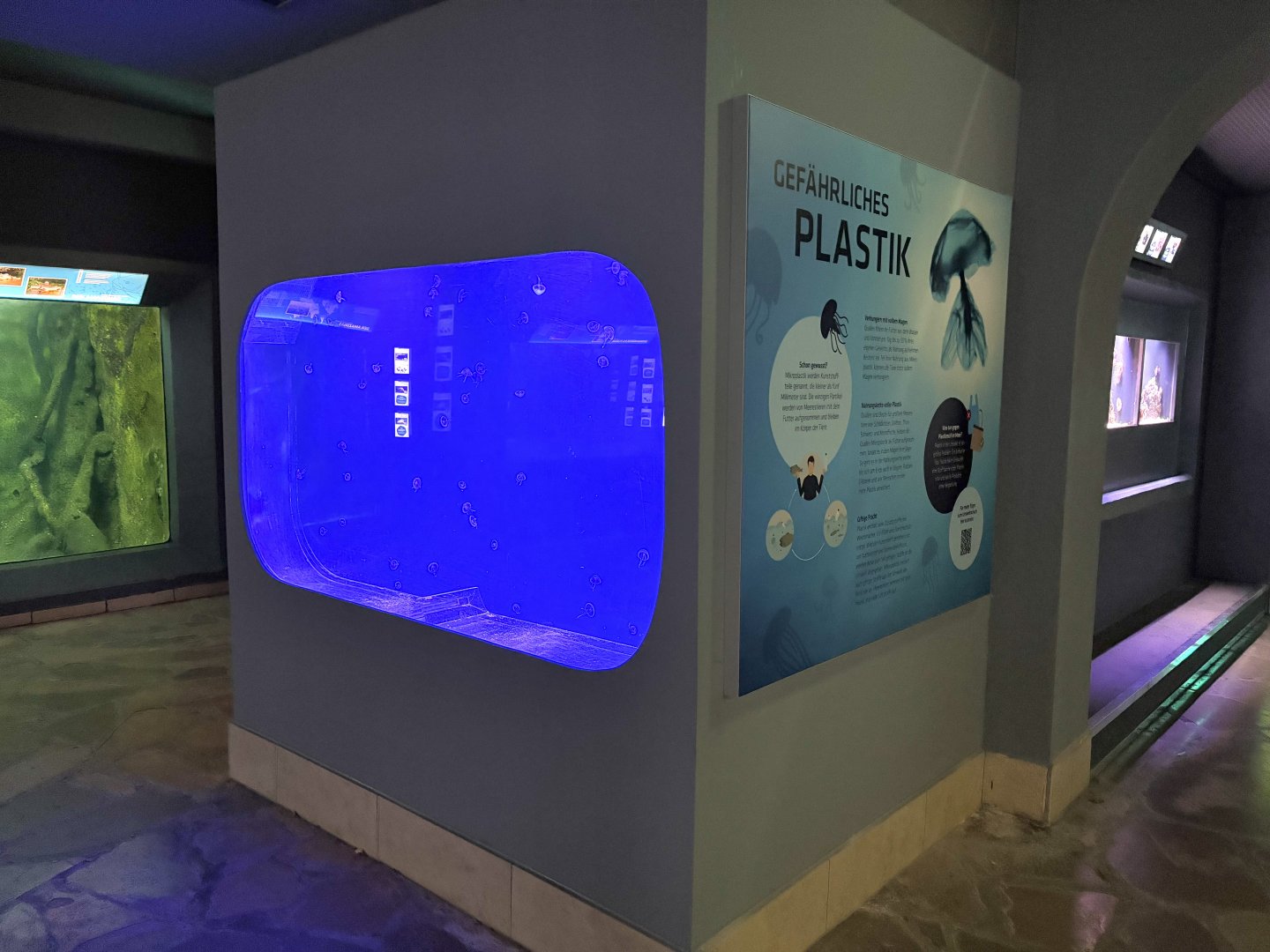 Jellyfish Tank