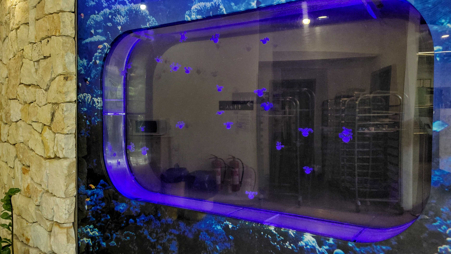 Jellyfish tank