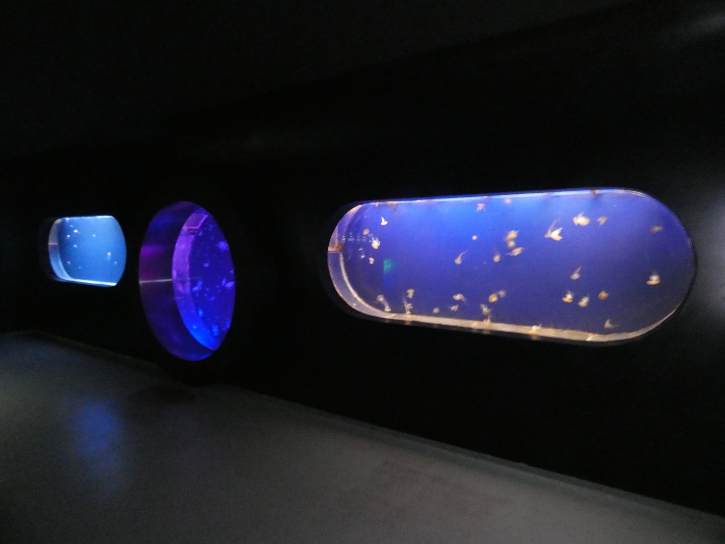 Jellyfish tanks - Svět Medúz