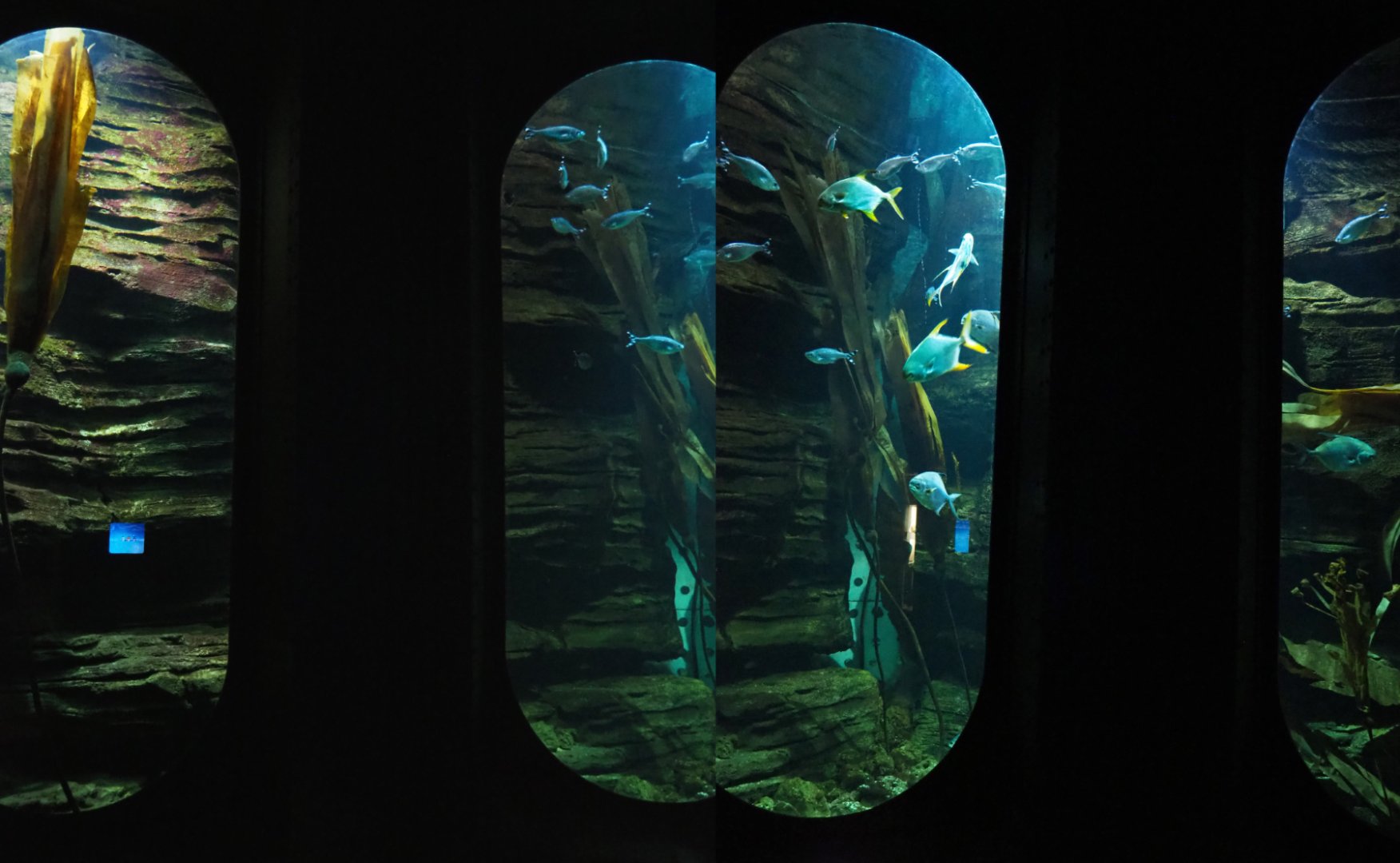 Jelp tank, 2020-09-03