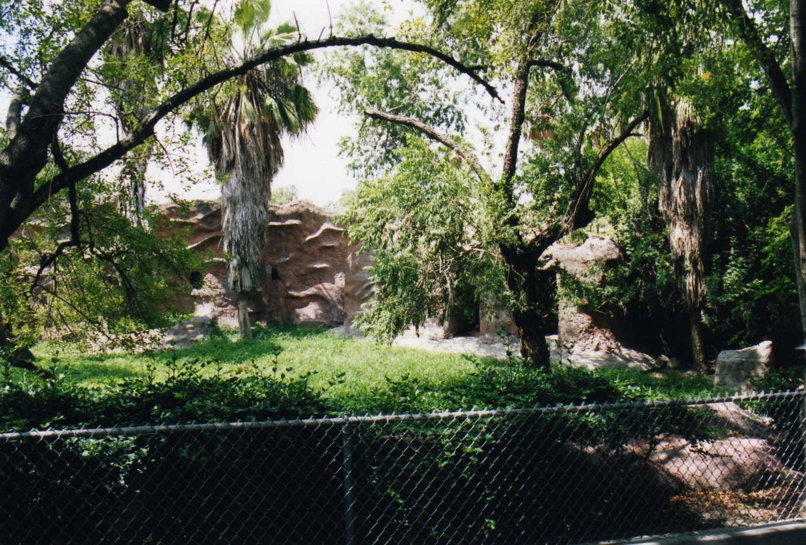 Jentink Duiker Exhibit