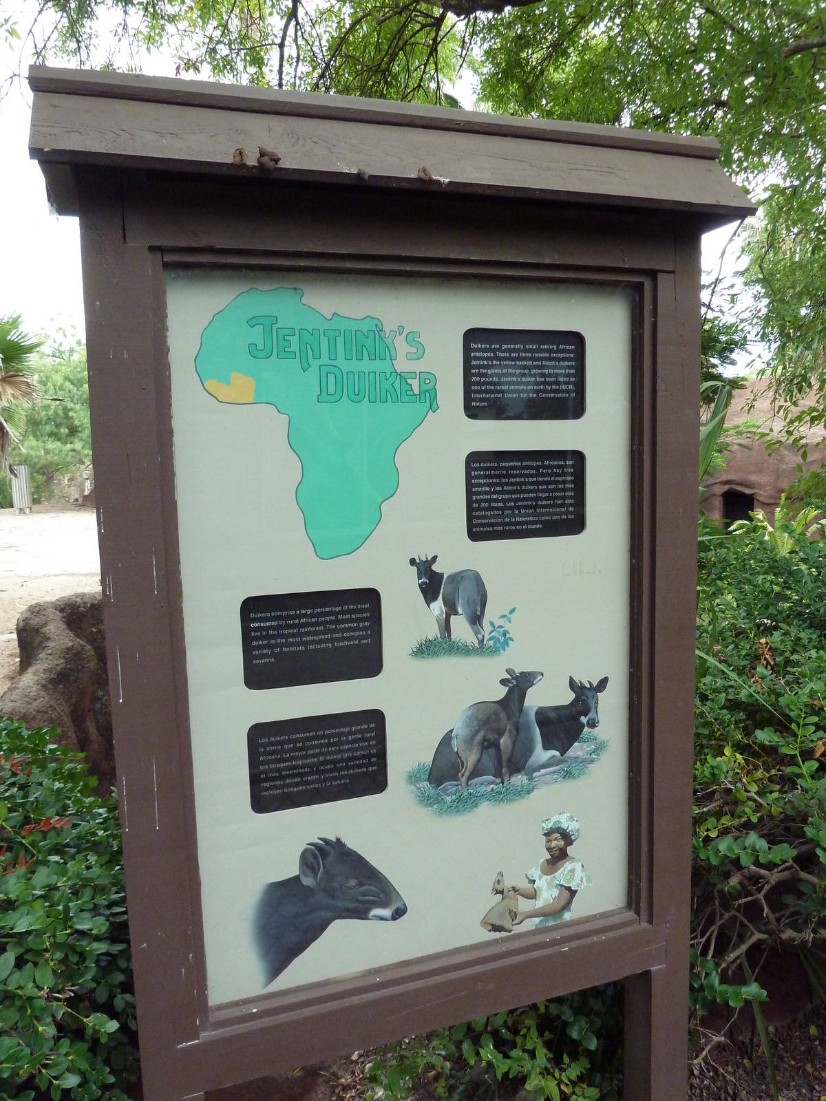 Jentink's Duiker Exhibit - Signage