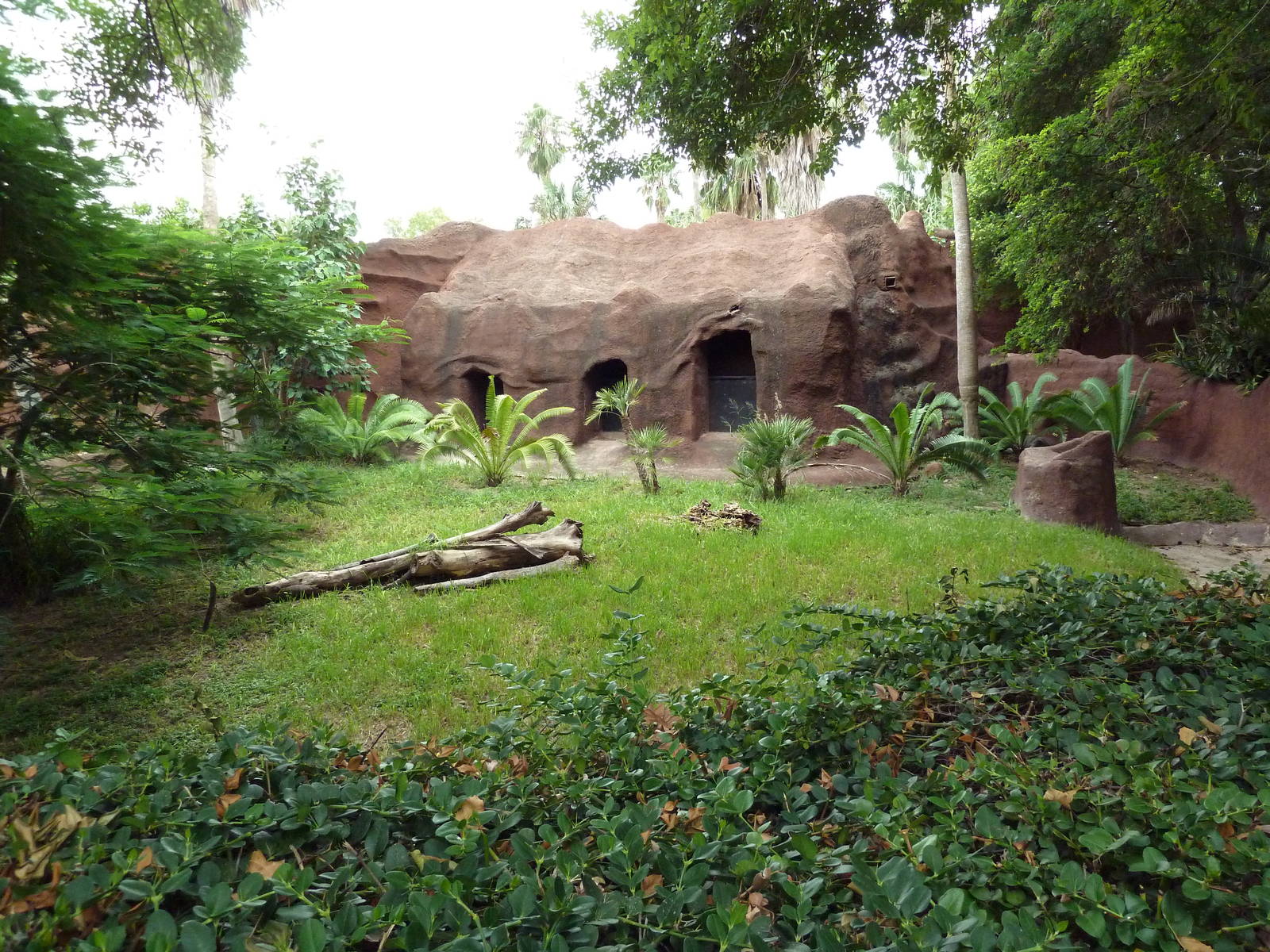 Jentink's Duiker Exhibit
