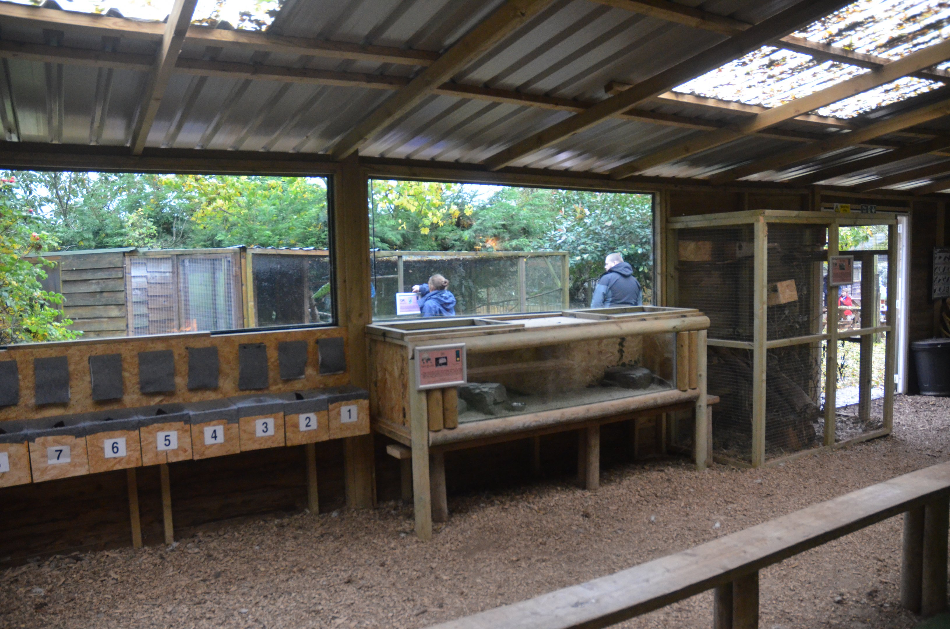 Jerboa and Finlayson's Squirrel Enclosures at Axe Valley, 02/11/19