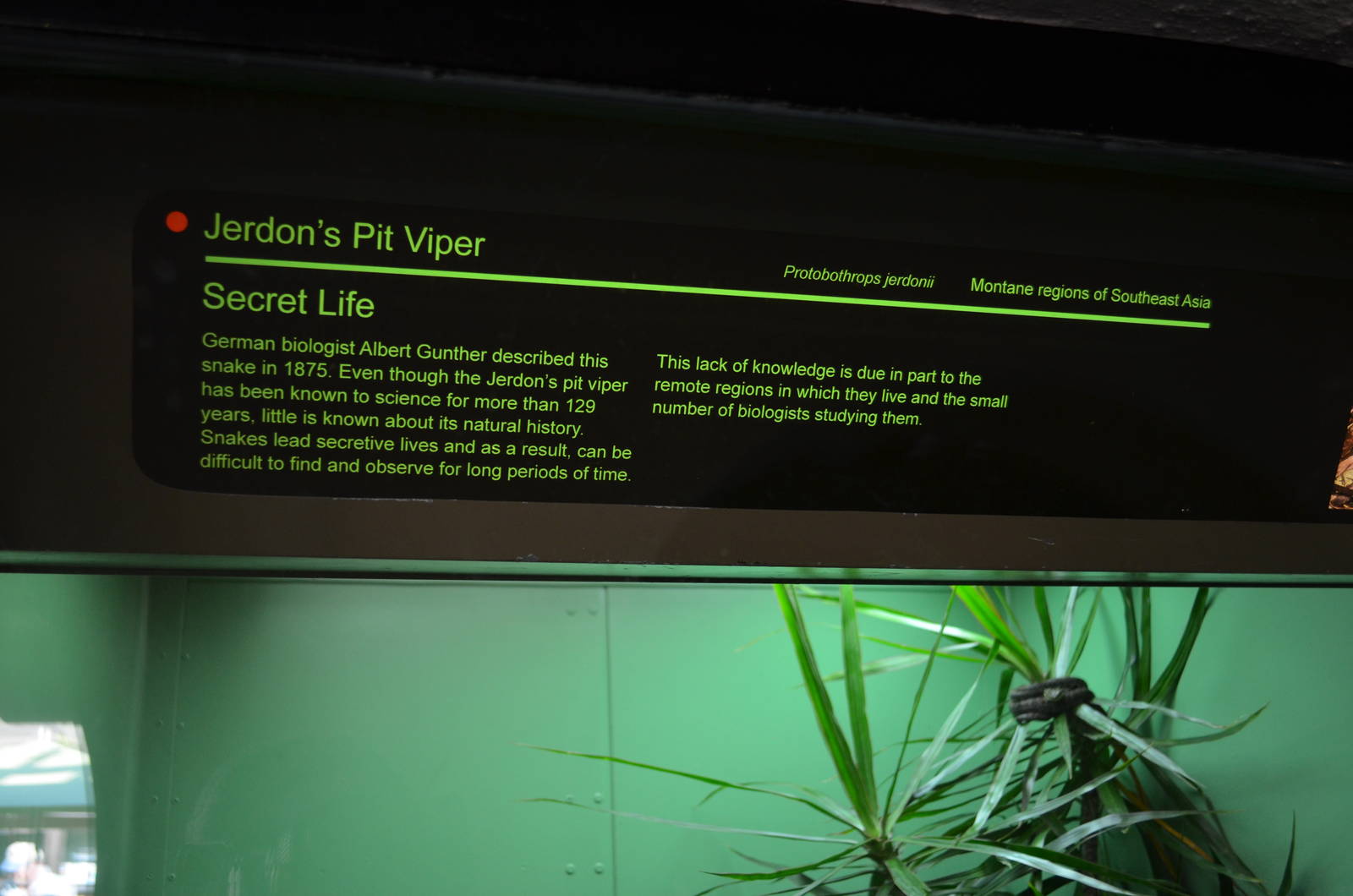 Jerdon's Pit Viper Signage
