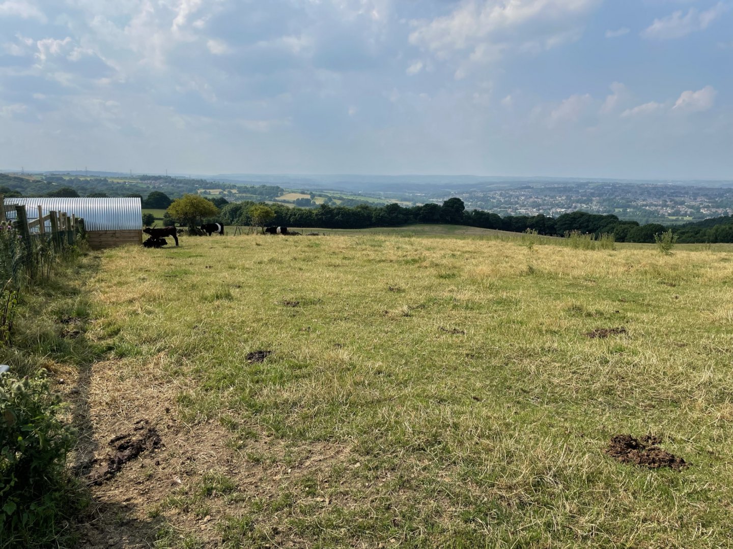 Jersey Cow Enclosure at Charlotte's Ice Cream Parlour (July 2021)
