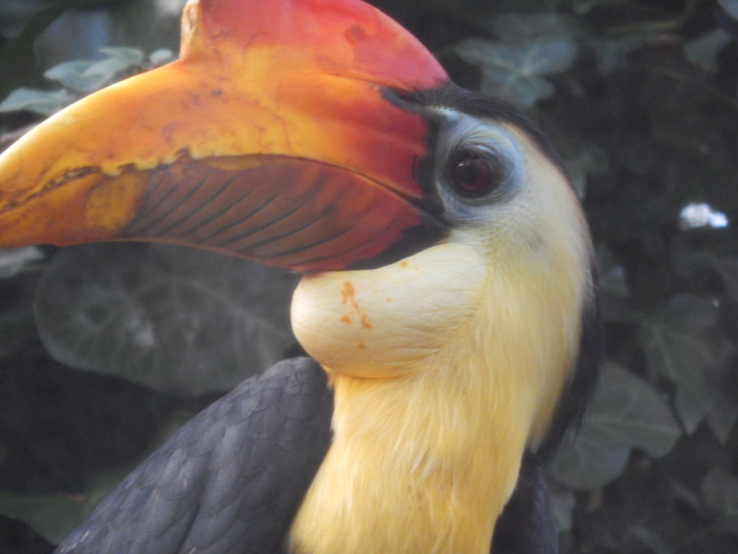 Jersey Zoo January 2019