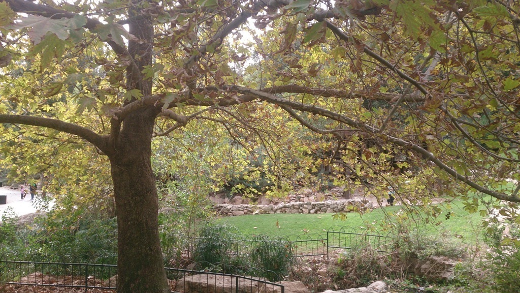 Jerusalem Biblical Zoo 23.11.13