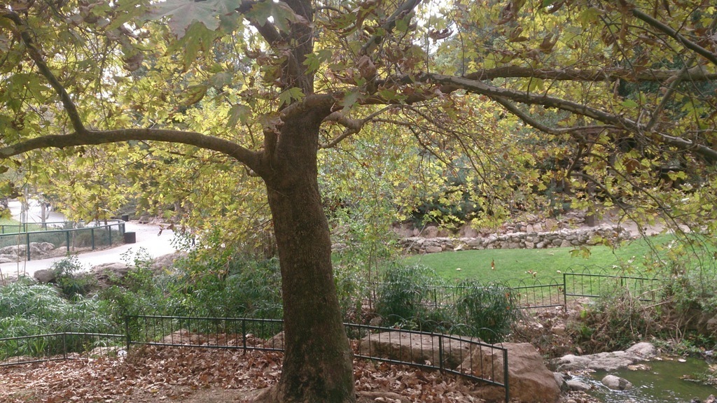 Jerusalem Biblical Zoo 23.11.13