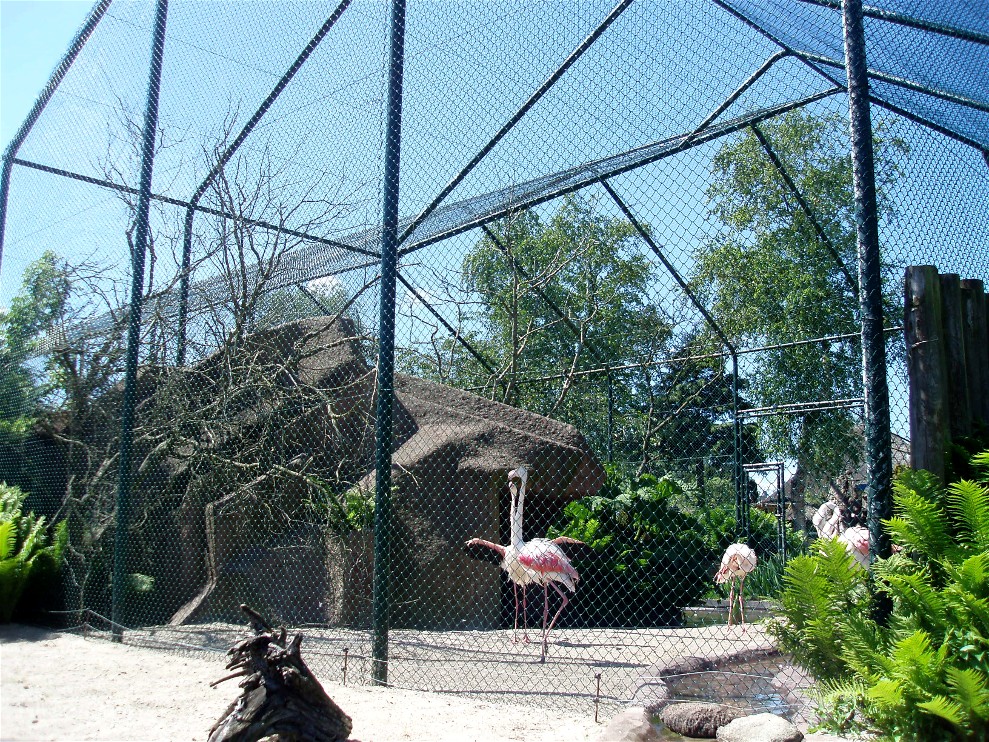 Jesperhus Junglezoo - Aviary