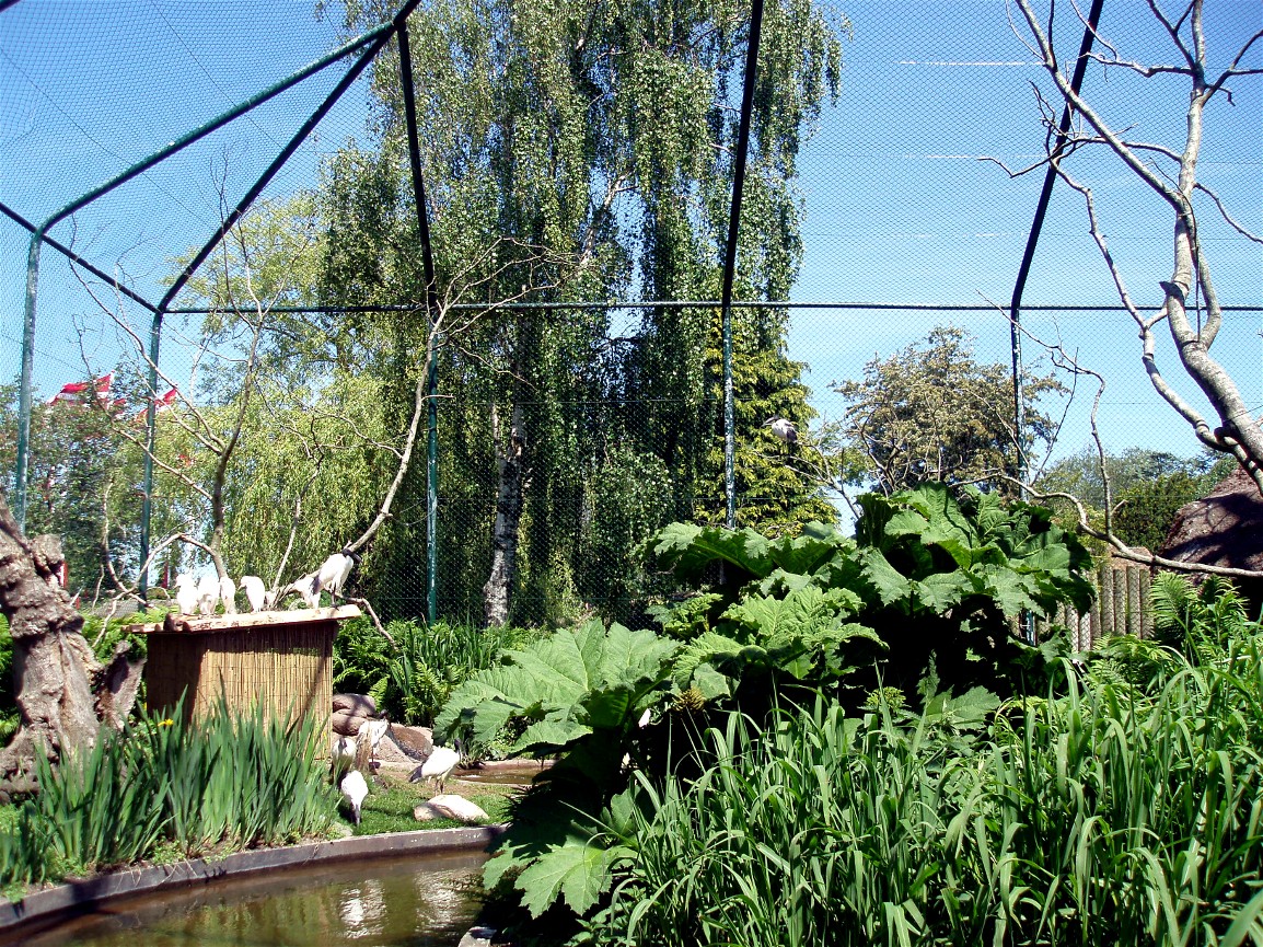 Jesperhus Junglezoo - Aviary