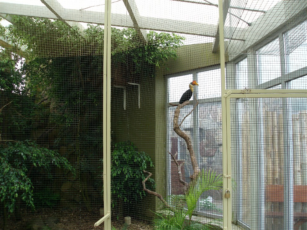 Jesperhus Junglezoo - Hornbill aviary
