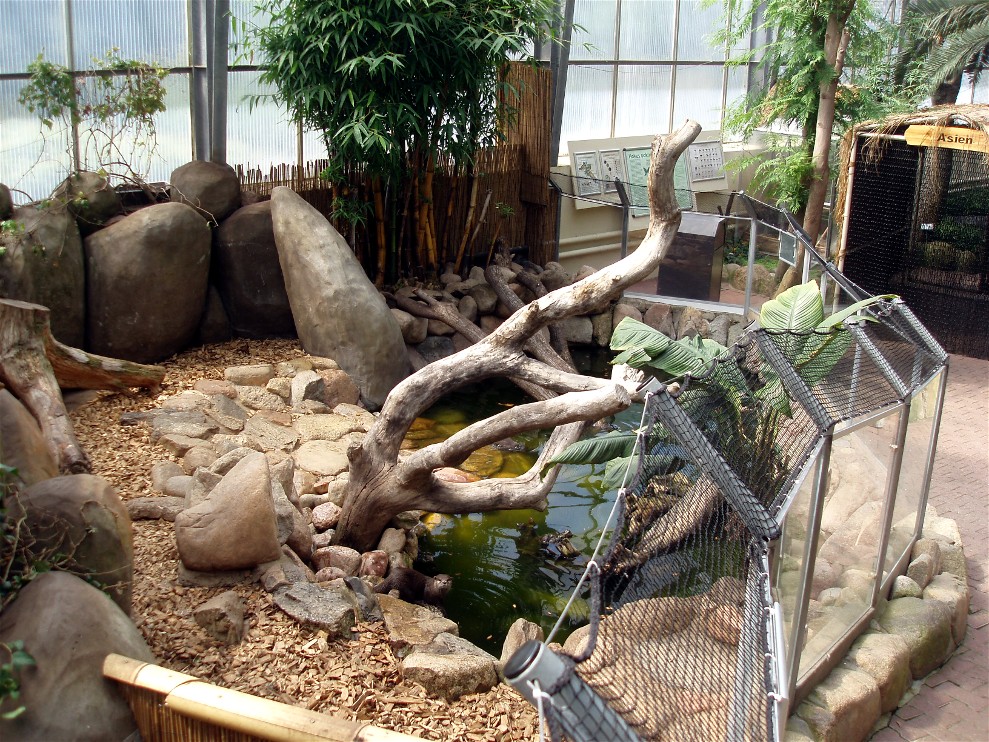 Jesperhus Junglezoo - Otter exhibit