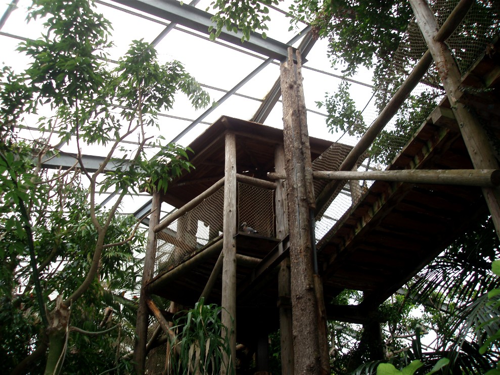 Jesperhus Junglezoo - South America