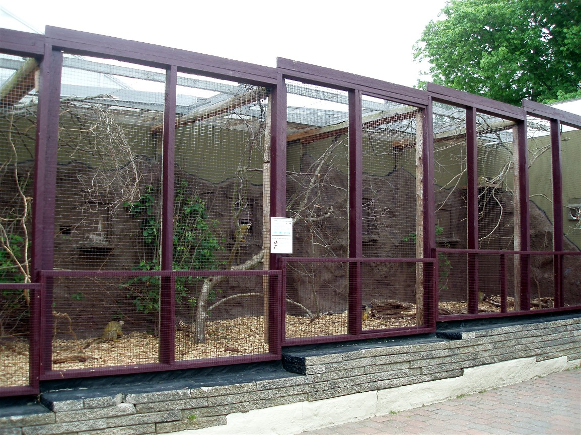 Jesperhus Junglezoo -Squirrel monkey exhibit