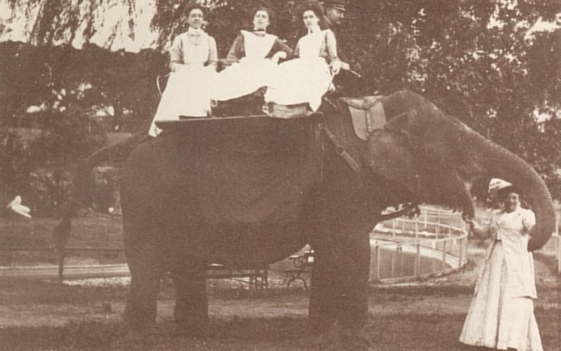 Jessie, Moore Park, ~1880's