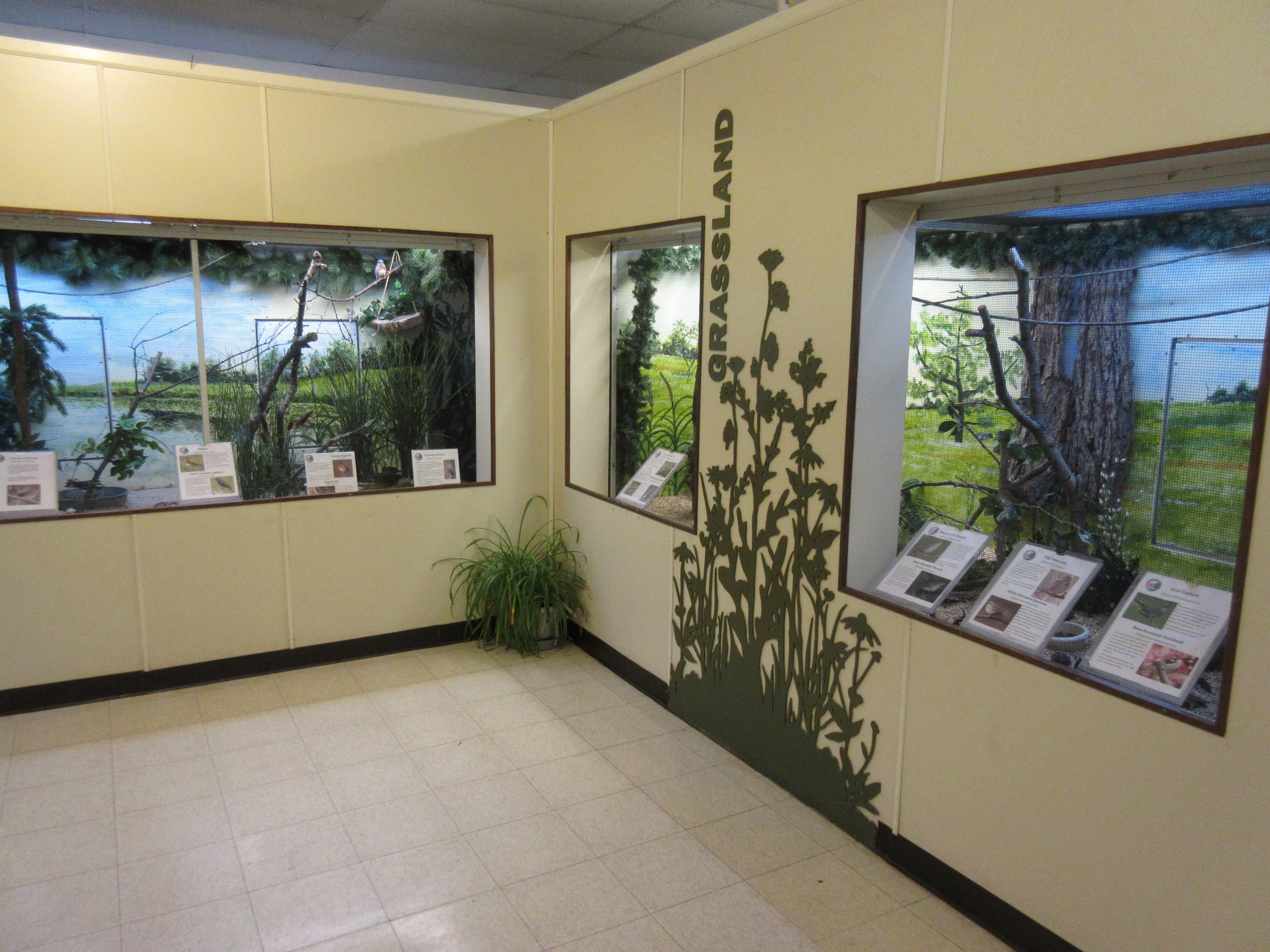 Jewel-Box Aviaries