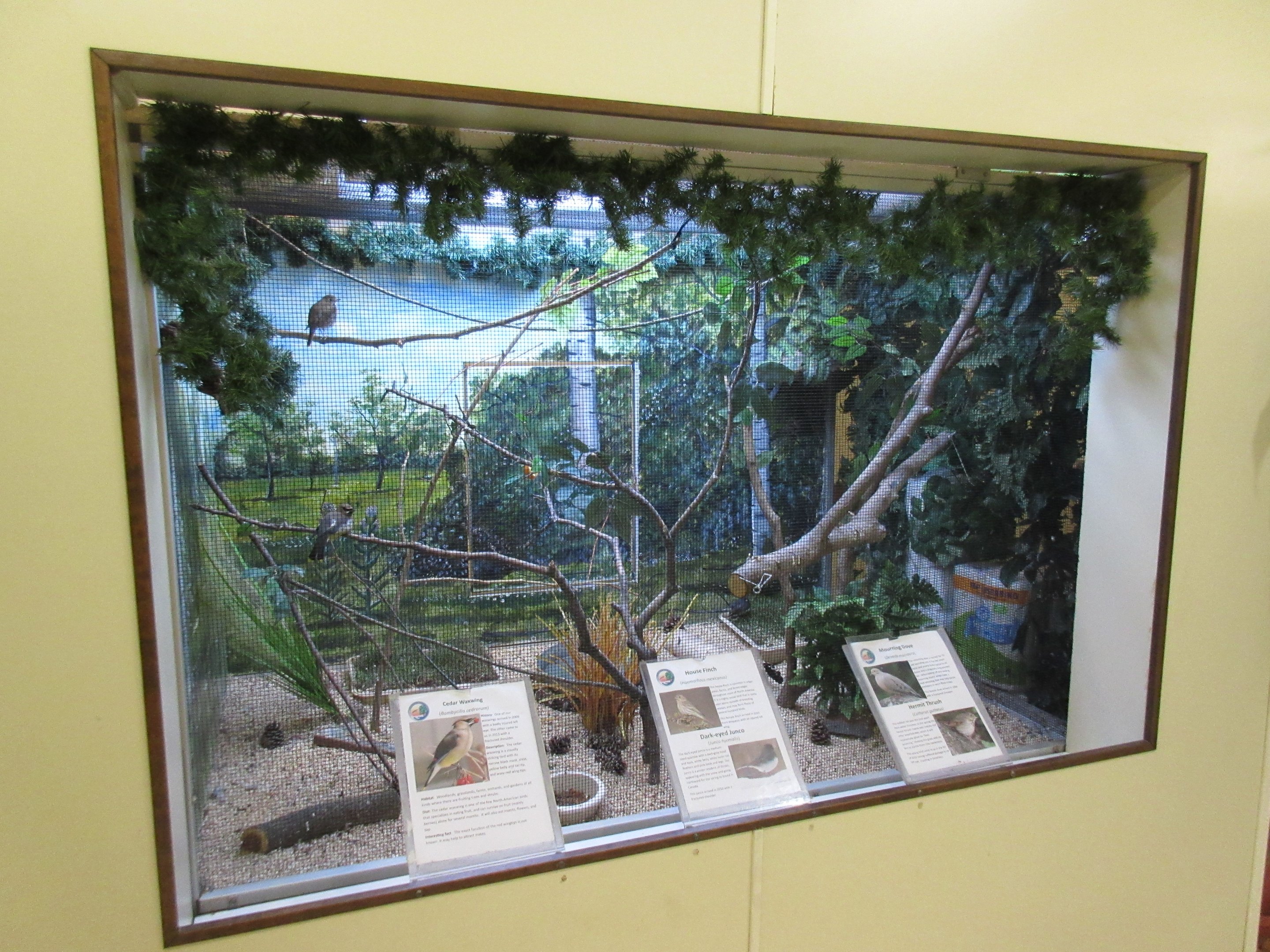 Jewel-Box Aviary