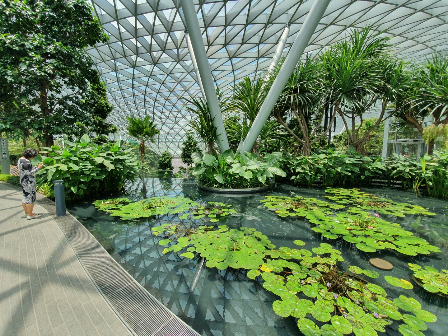 Jewel Changi Airport - Waterlily Pond